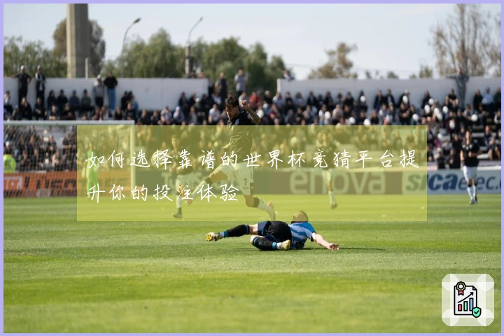 如何选择靠谱的世界杯竞猜平台提升你的投注体验