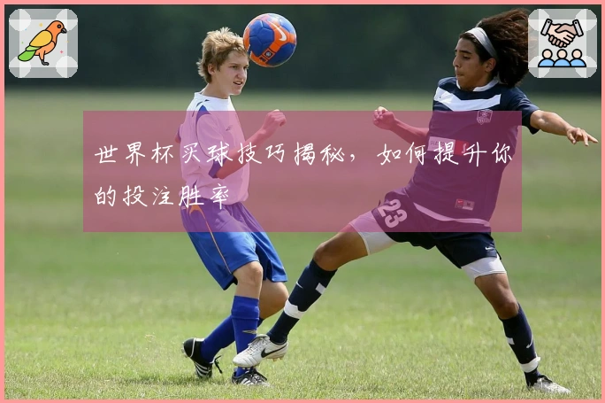世界杯买球技巧揭秘，如何提升你的投注胜率