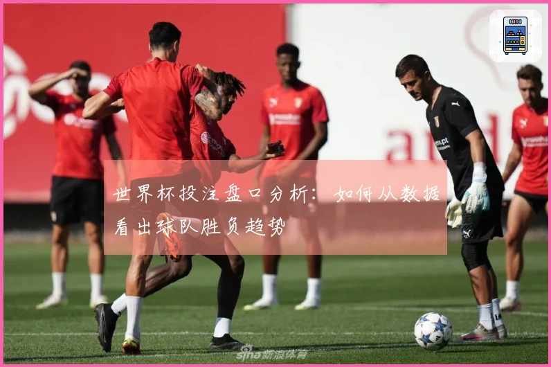 世界杯投注盘口分析：如何从数据看出球队胜负趋势