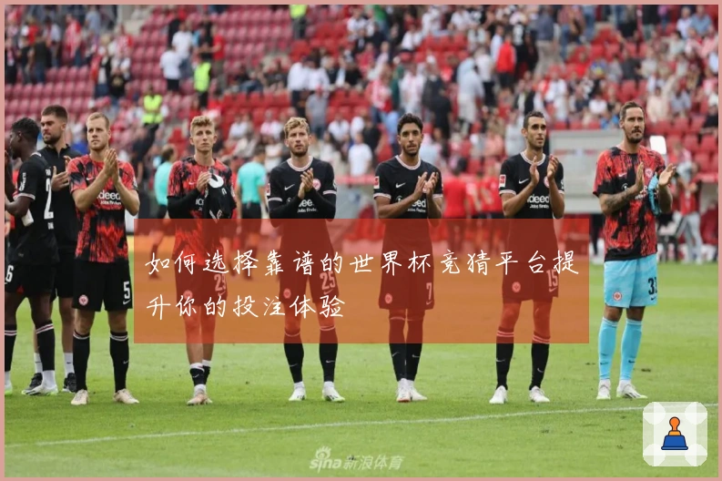 如何选择靠谱的世界杯竞猜平台提升你的投注体验
