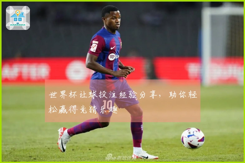 世界杯让球投注经验分享，助你轻松赢得竞猜乐趣